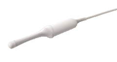 Samsung V5-9 3D/4D Intra Cavity Transducer